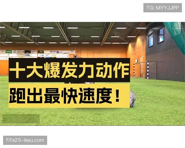 Son独家体能训练方法首度公开，助力运动员表现显著提升