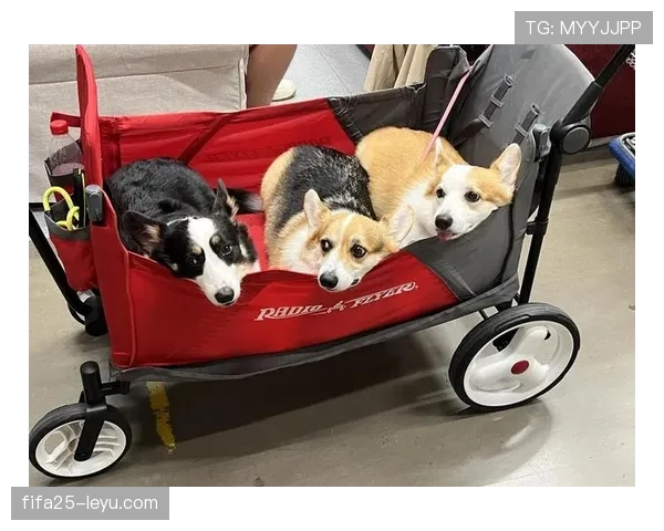 拉莫斯开着超跑送小孩上学，旁边家长推着破推车看傻了